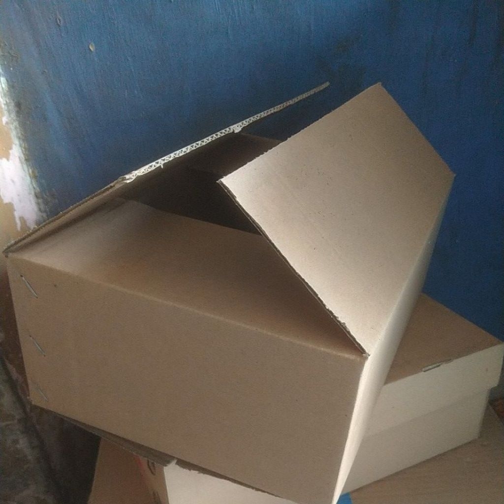

KARDUS UNTUK DOUBLE BOX PENGEMASAN