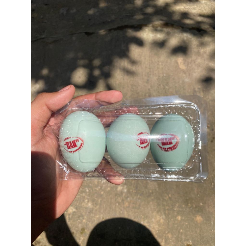 

Telur Bebek Asin
