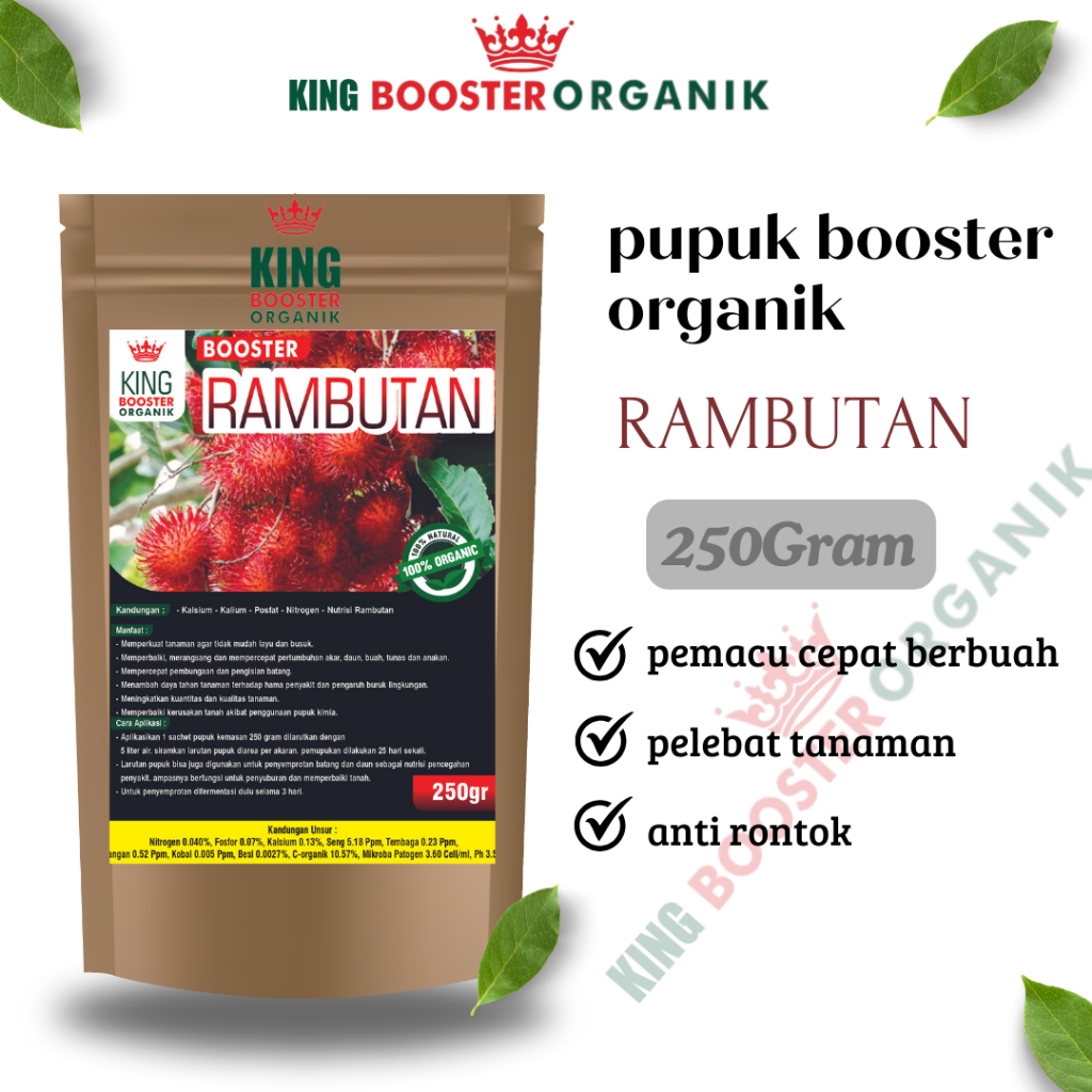 Pupuk Organik Pelebat Buah Rambutan Booster dan Perangsang Rambutan Cepat Berbuah Lebat Pupuk Anti R