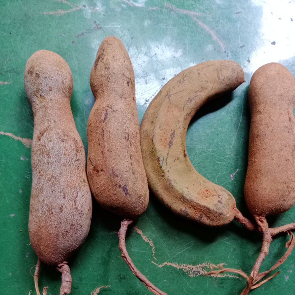 

250gram asam jawa menta/cempalok.