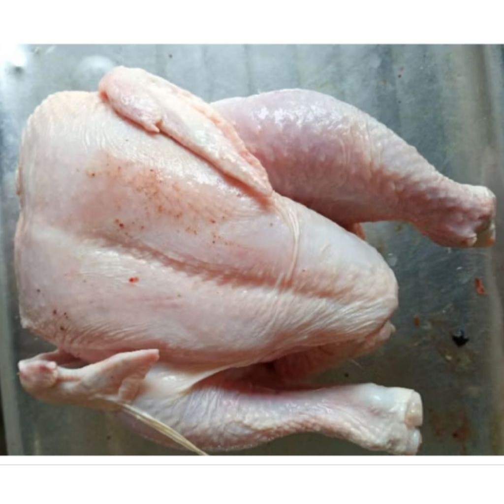 

ayam broiler/negri karkas ekoran/frozen