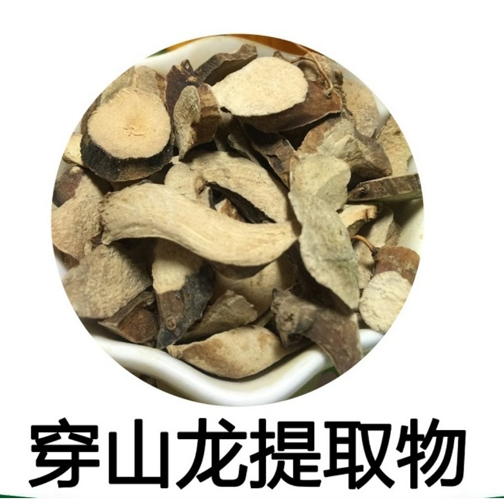 

100gr Chuan Shan Long Dioscoreae Nipponicae Chuanlong Yam