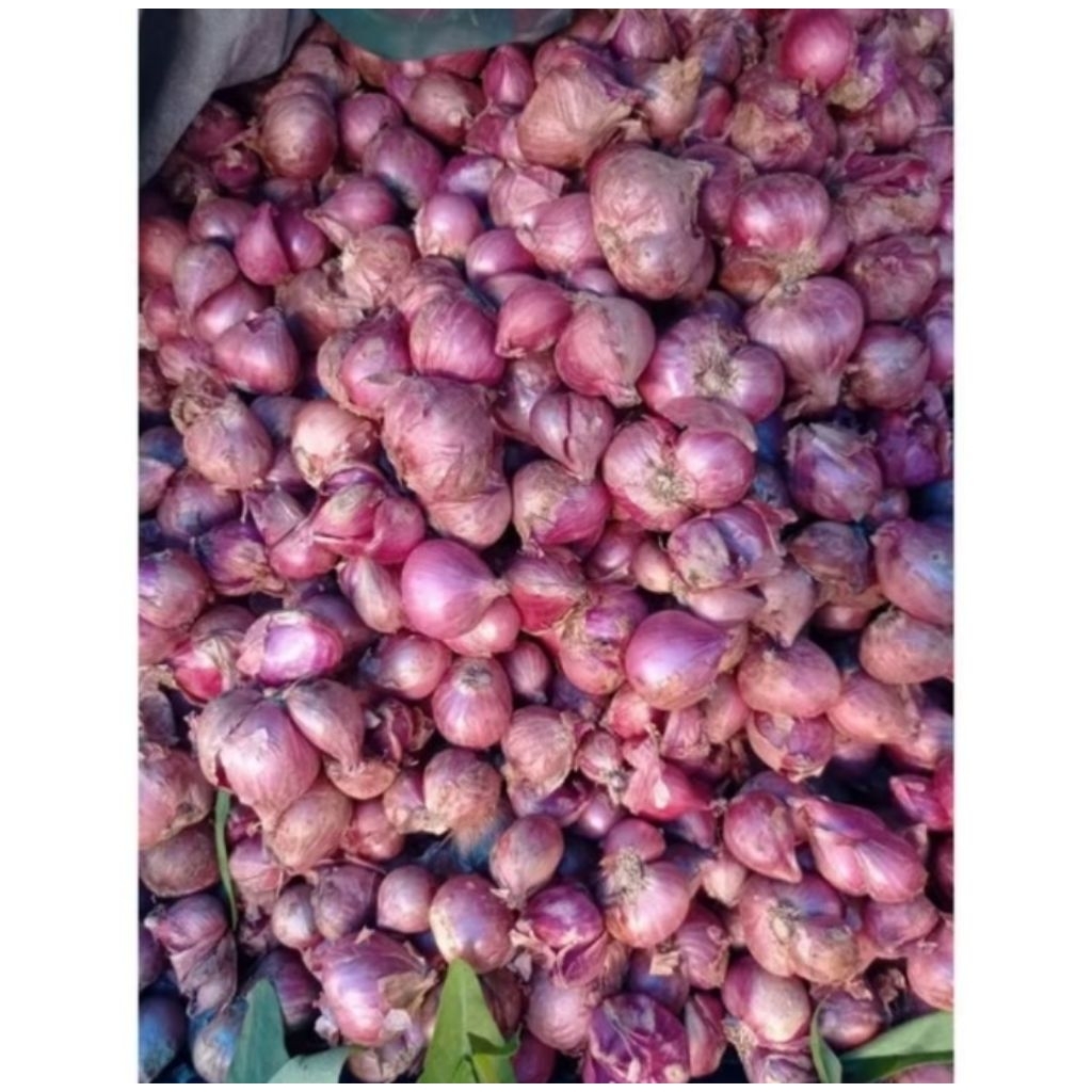 

Bawang Merah/Kg