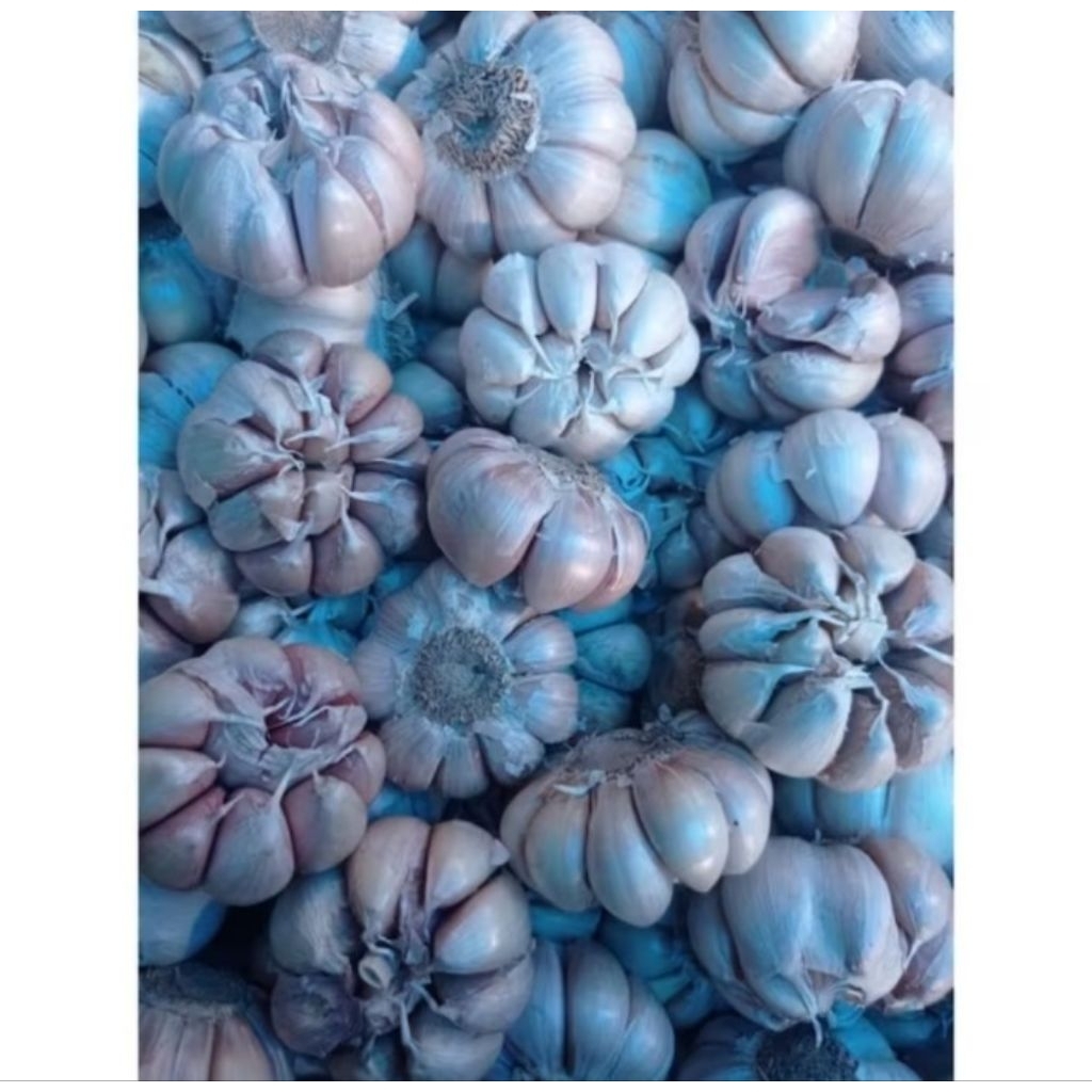 

Bawang Putih/Kg
