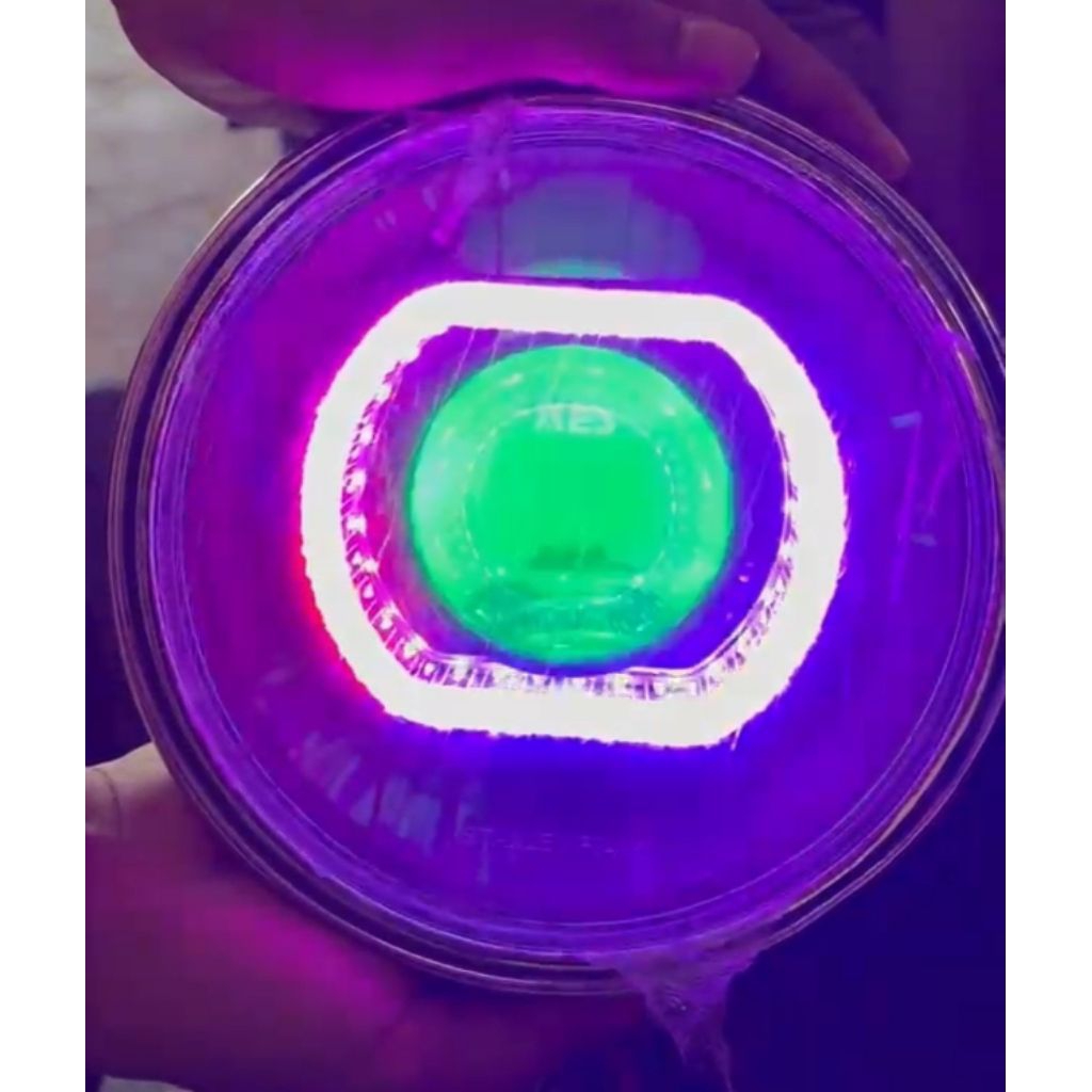 Biled Ninja SS