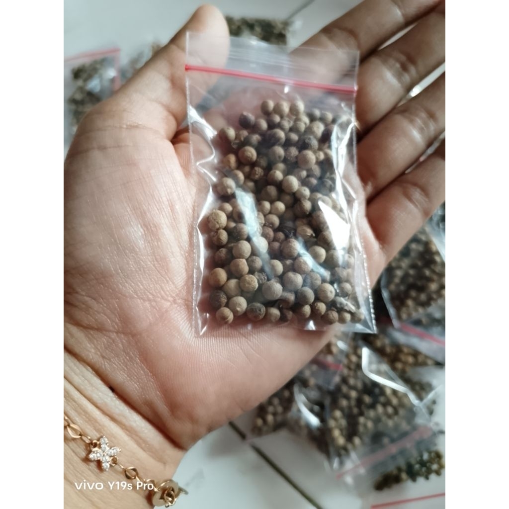 

Merica // lada hitam