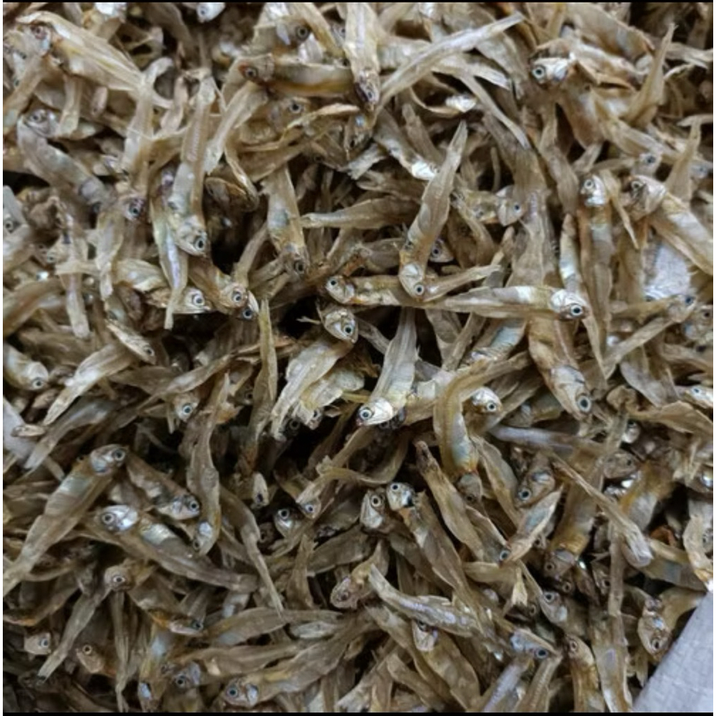 

Ikan Teri Jengki Premium 1kg Kualitas VIP Bagus Dan Fress