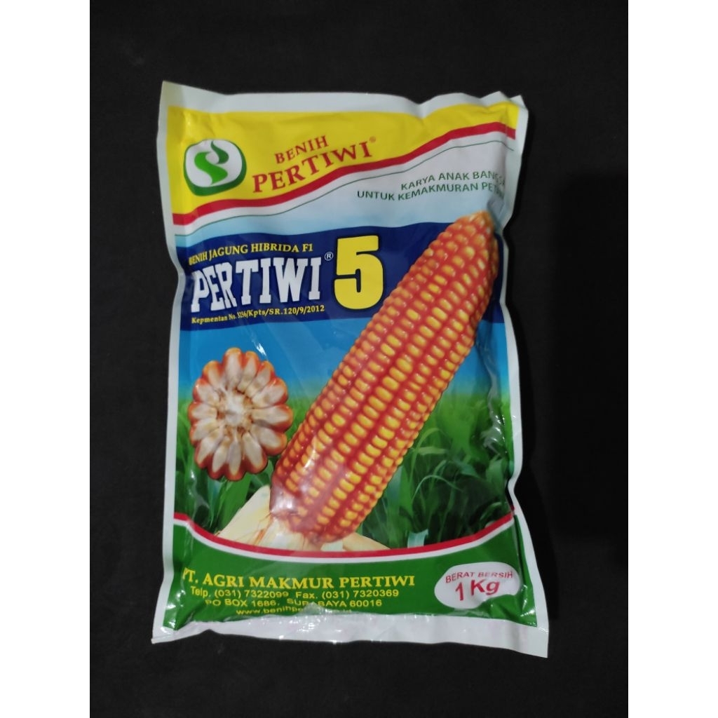 Benih Jagung Hibrida Cap Pertiwi 5 ukuran 1KG