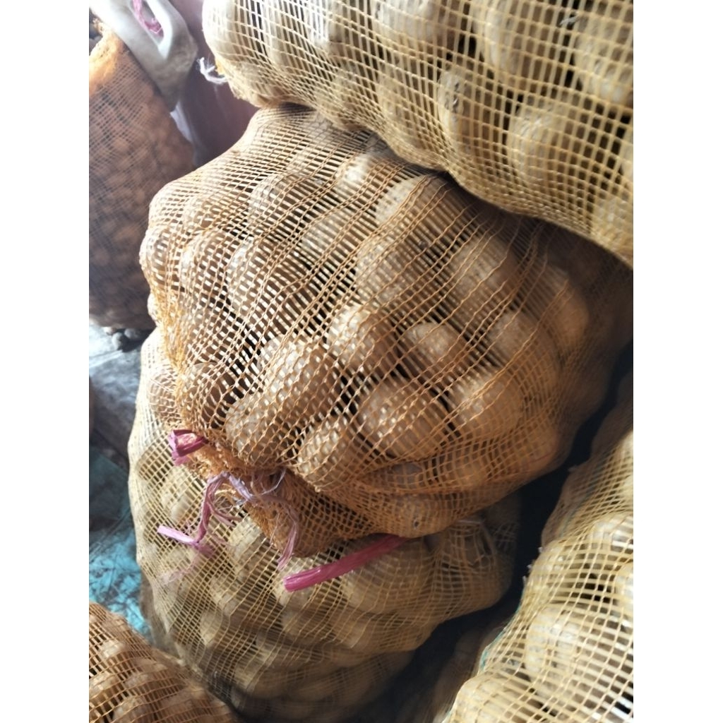 

Kentang Dieng ABC ukur besar 1kg