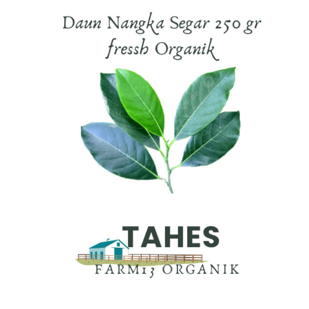 

Daun Nangka Segar Fresh 250 gr Dipetik Ketika Ada Orderan Organik