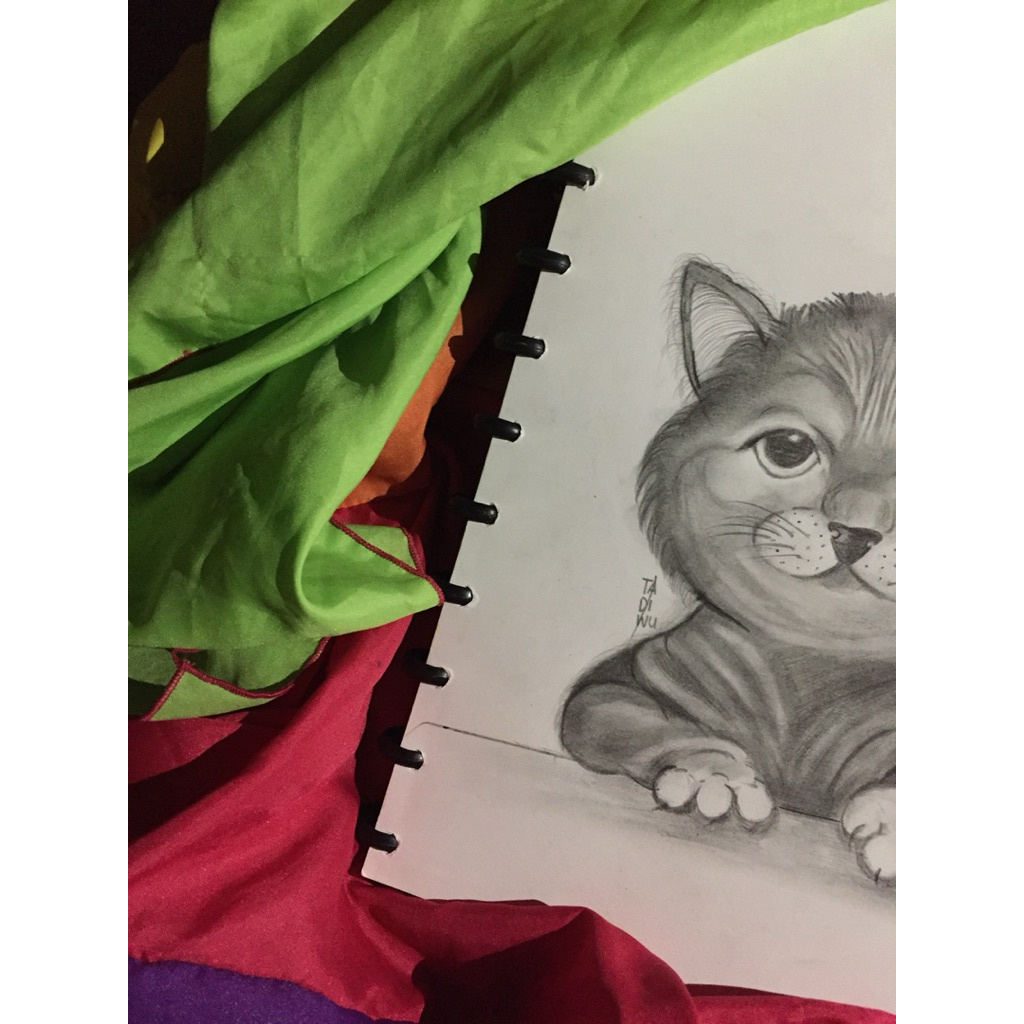 

Kucing - Sketsa Pensil 2D