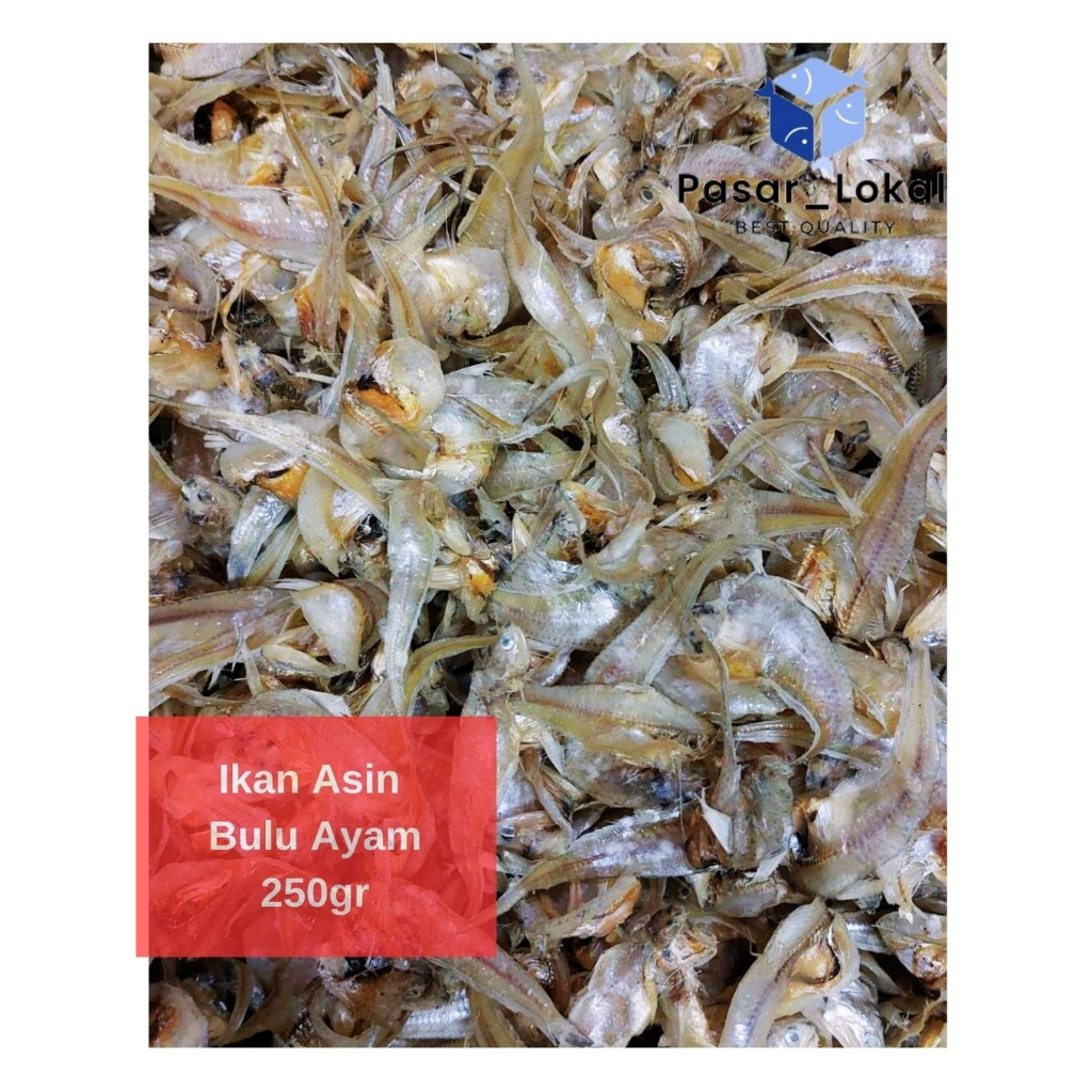 

Ikan Asin Bulu Ayam Kering /250gram