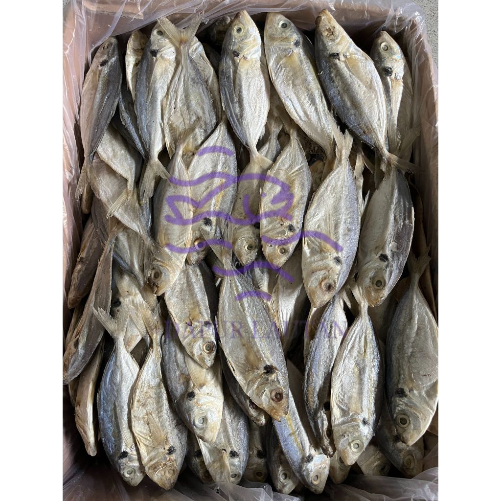 

Ikan Asin Selar Jawa Berat 250gr, 500gr, & 1000gr