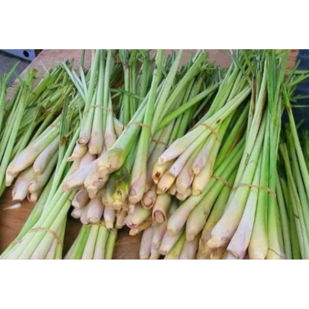 

0Sereh Segar - 1/2 kg, sereh lokal. 0bat herbal allami,