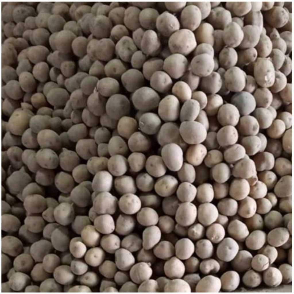 

Kentang Granola Kentang beby fresh (Ares)