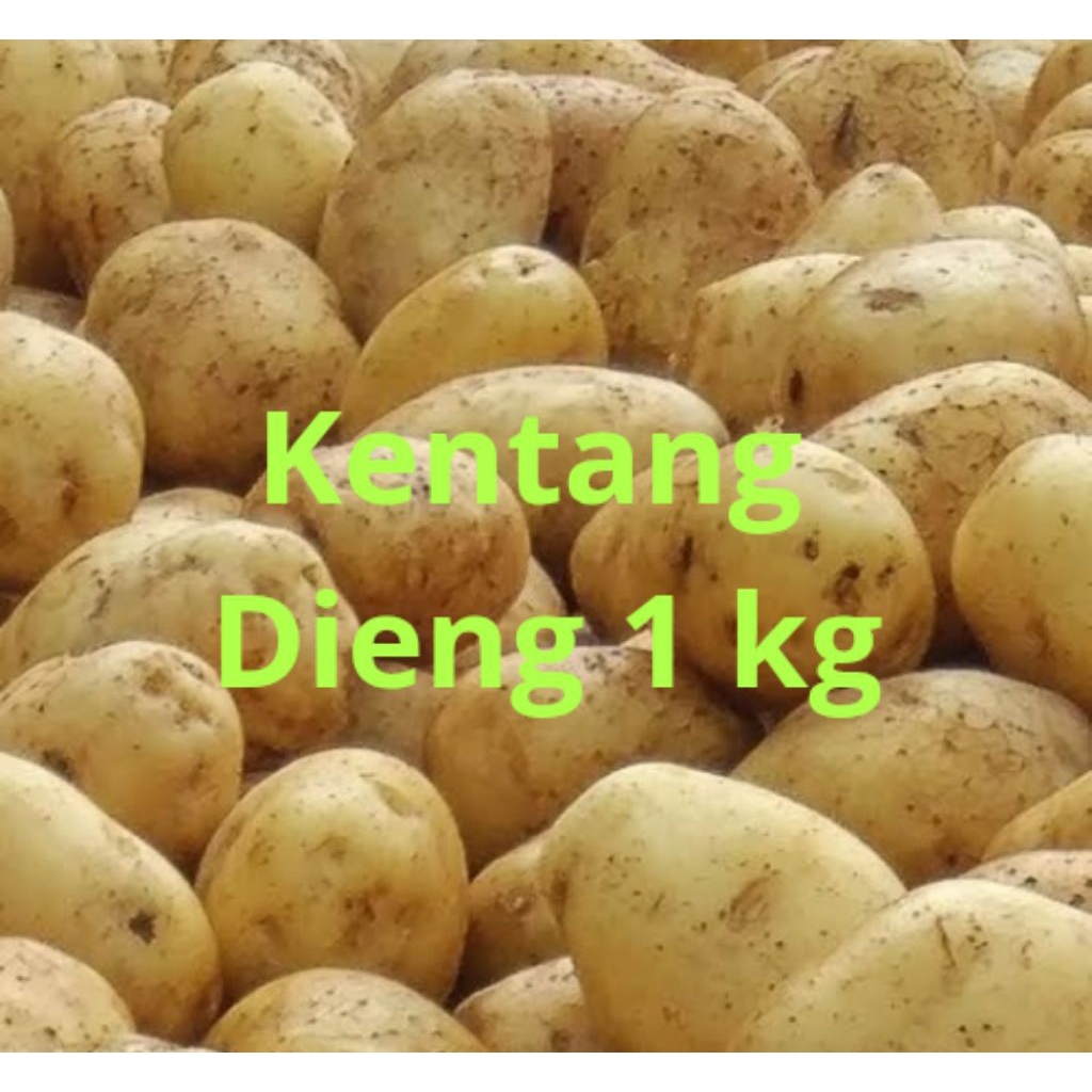 

Bismillahirrahmanirrahim, Kentang Dieng ukuran sedang 1 kg