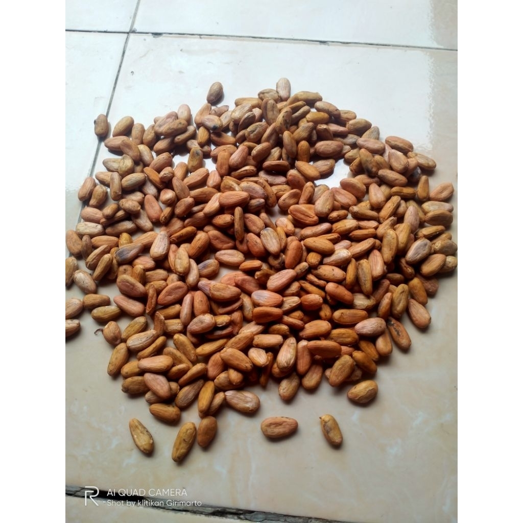 

100 gram biji kakao coklat kering