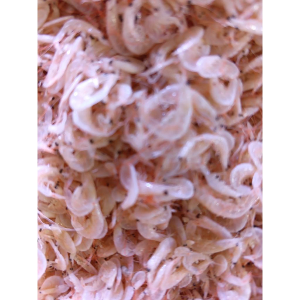 

Udang Reborn /Kecepe 1 Kg