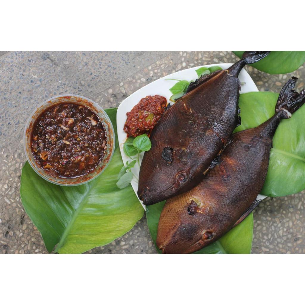 

Big Promo 1 Ekor Ikan Ayam Ayam GRATIS Sambal Pedas Panggang Asap 1 ekor paling enak Makanan diet tanpa minyak protein tinggi Smooked fish Instan