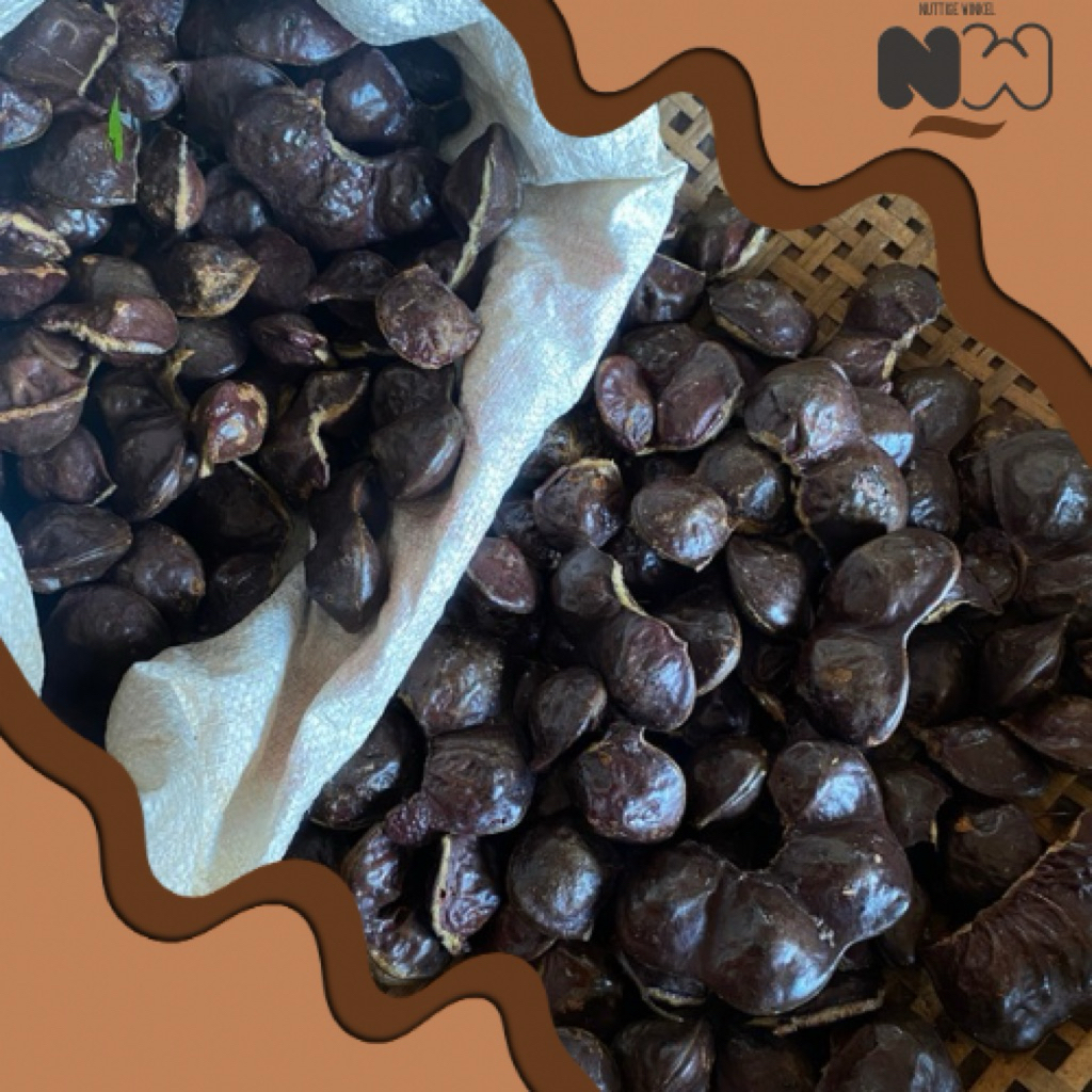 

Jengkol Muda Belum Dikupas Super - Segar, Langsung Dari Kebun