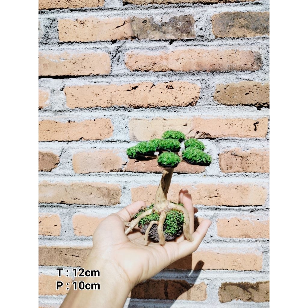 Bonsai Aquascape Sintetis