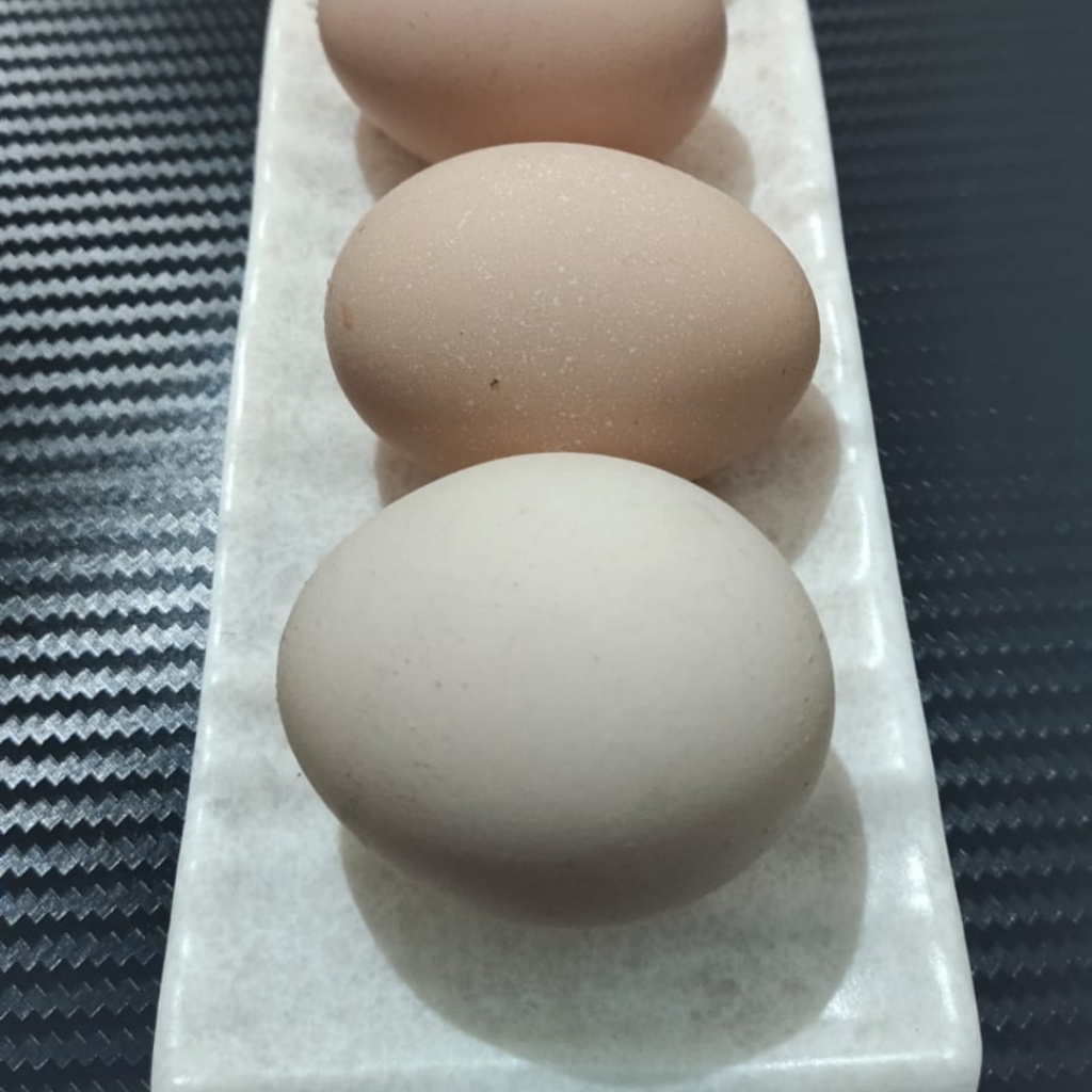 

(Min. 10 butir) Telur Ayam Kampung Asli Omega3 Ayam KUB Malang