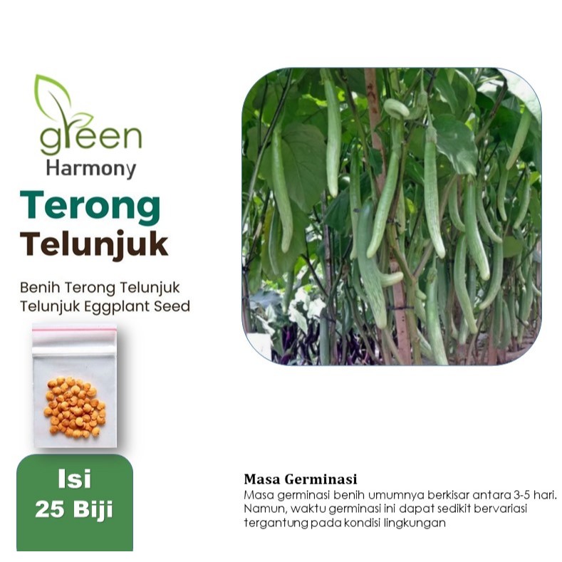 Bibit Sayuran Terong Telunjuk Lurik Unggul