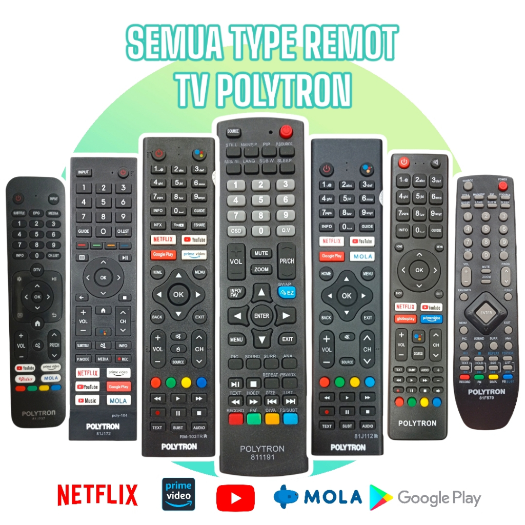 REMOTE / REMOT TV POLYTRON
