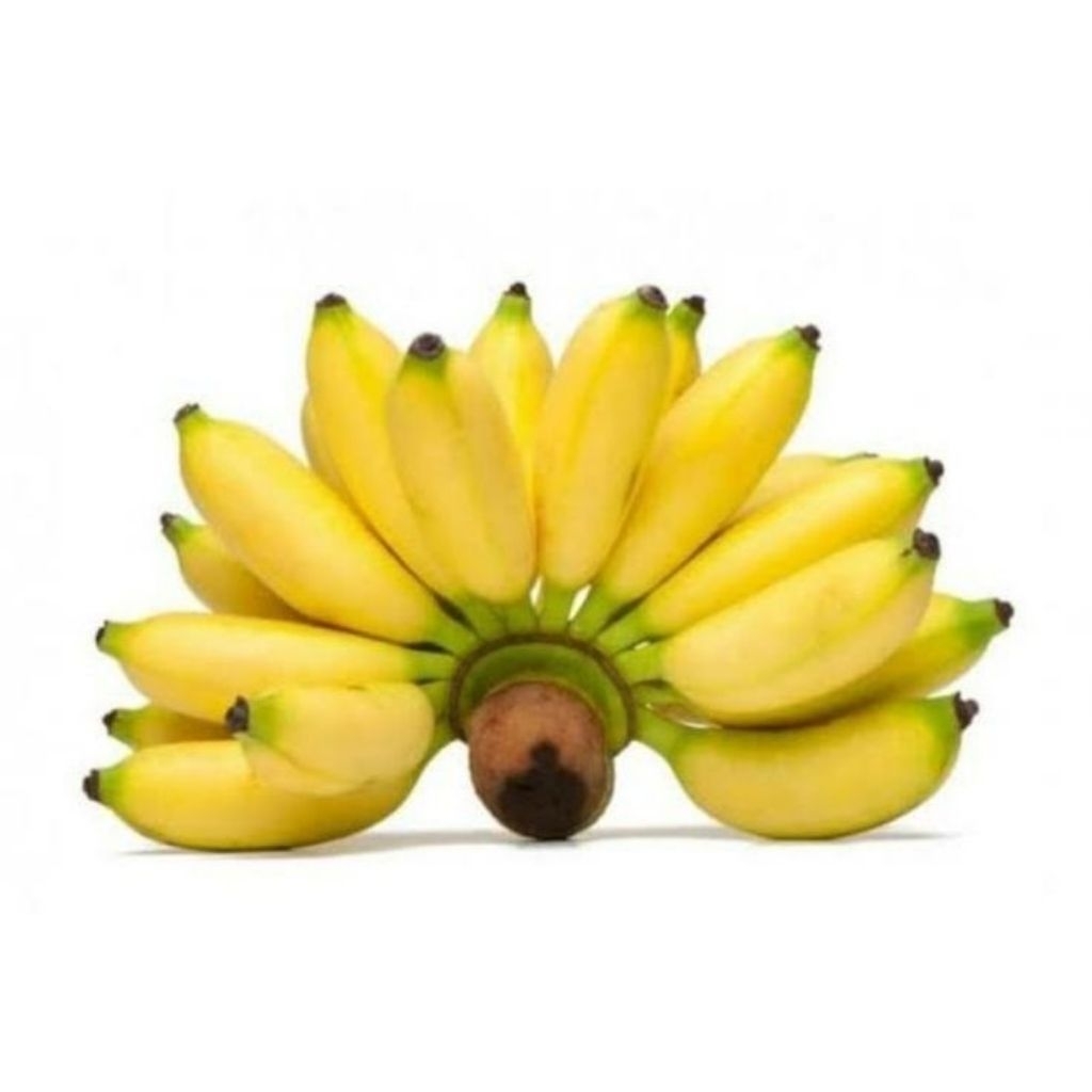 

PISANG MULI SEGAR 500 GRAM/PISANG MULI/BANANA FRESH/PISANG LIMPUNG