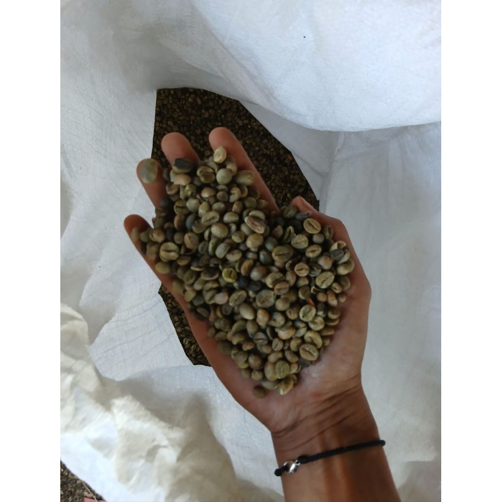 

KOPI ROBUSTA ASALAN 1KG