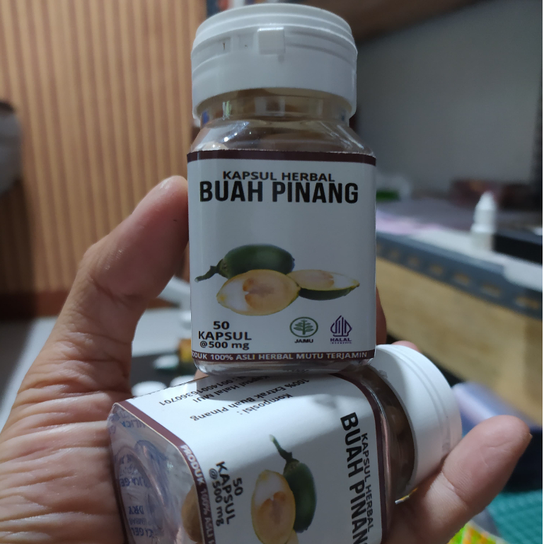 

Kapsul Buah Pinang Murni 100% Berkualitas Buah Pinang Muda