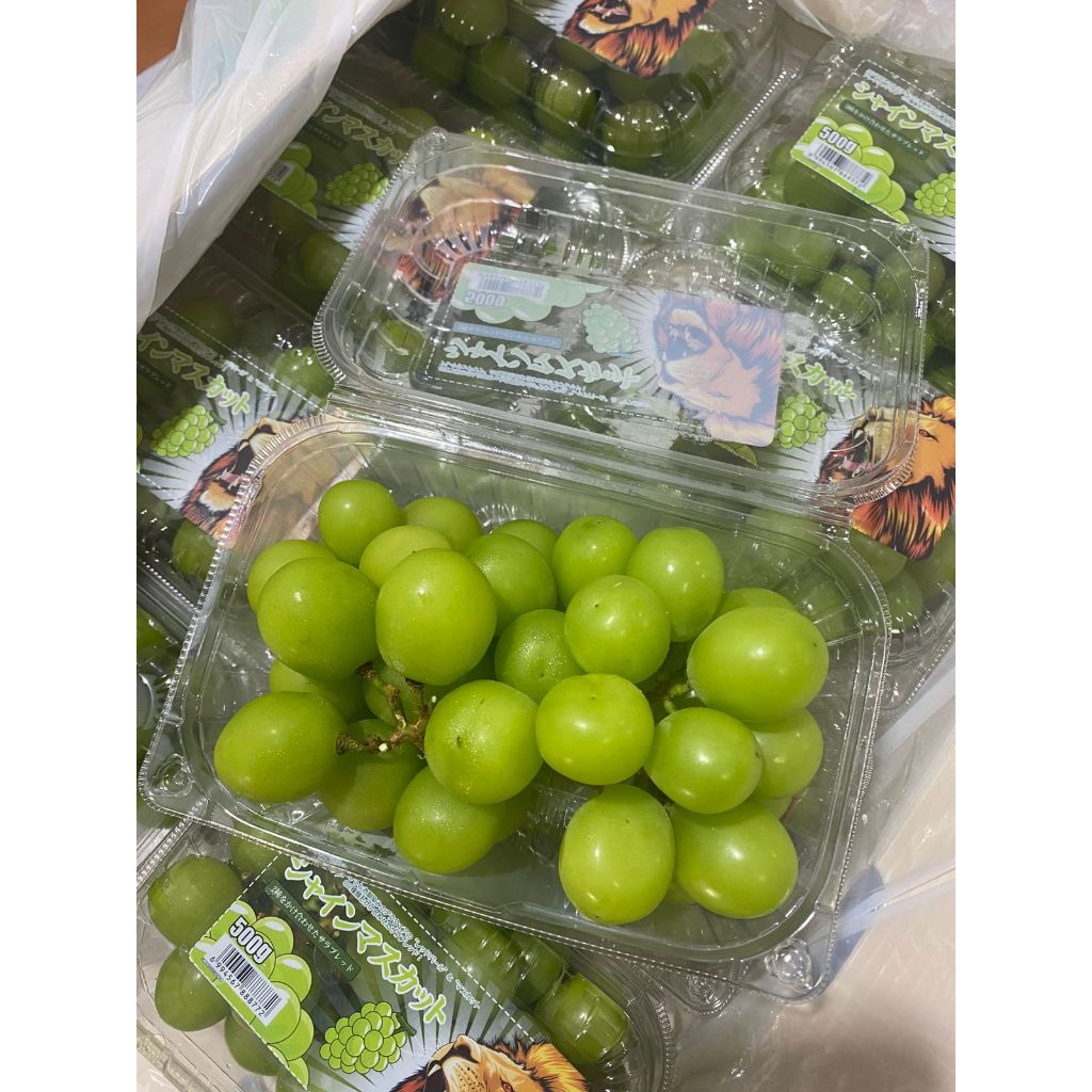 

ANGGUR MUSCAT MURAH ENAK SEGAR KENYAL FRESH ANGGUR HIJAU BIBIT JEPANG