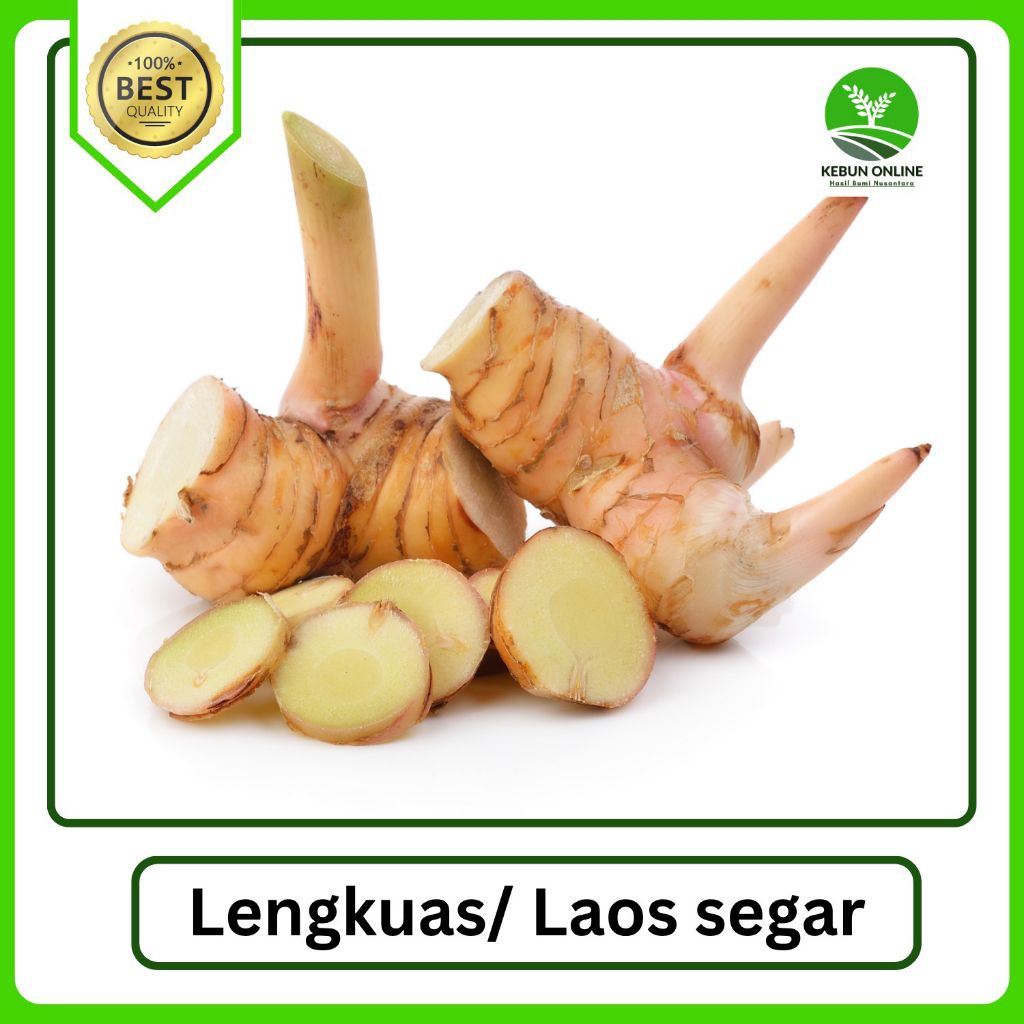 

Lengkuas/ Laos Segar [1kg] COD