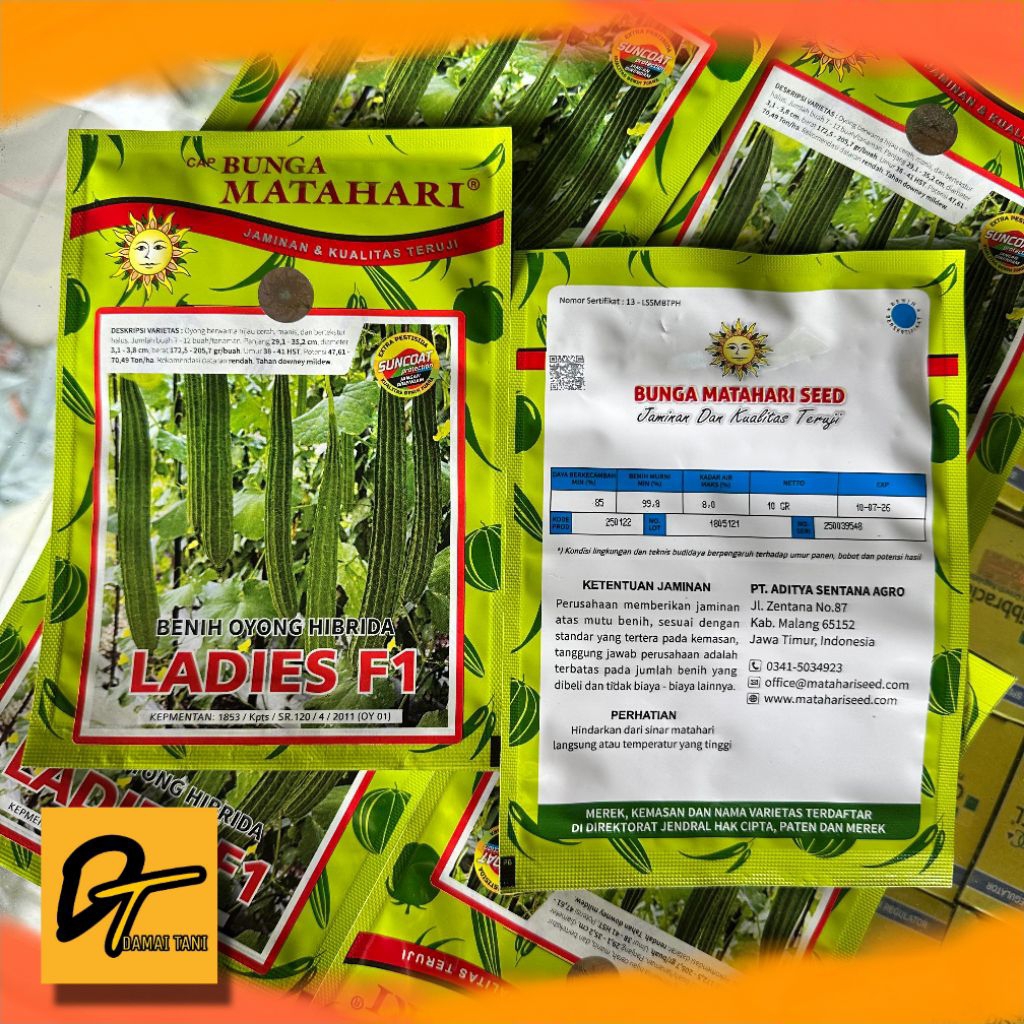 Benih Gambas Benih Oyong Hibrida Ladies 10 gram