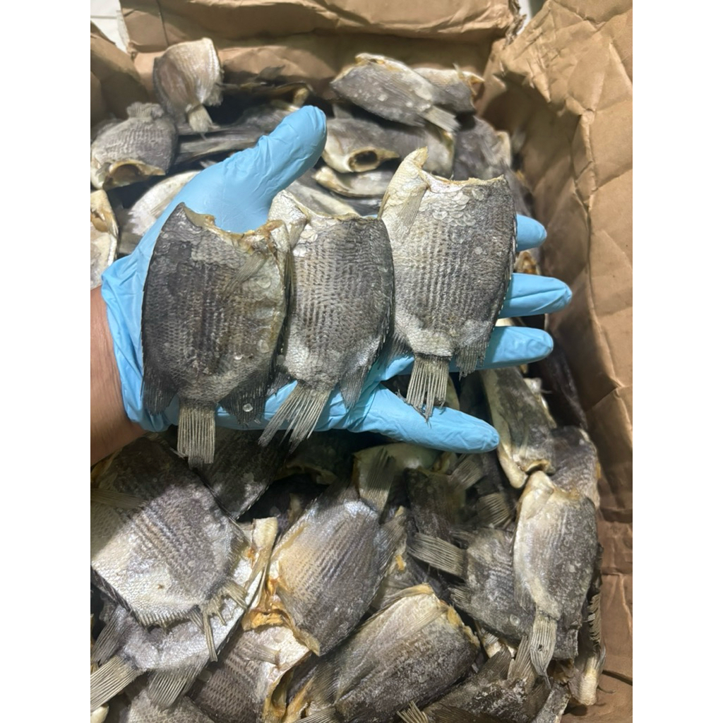 

Ikan Asin Tembakang/Biawan Jumbo