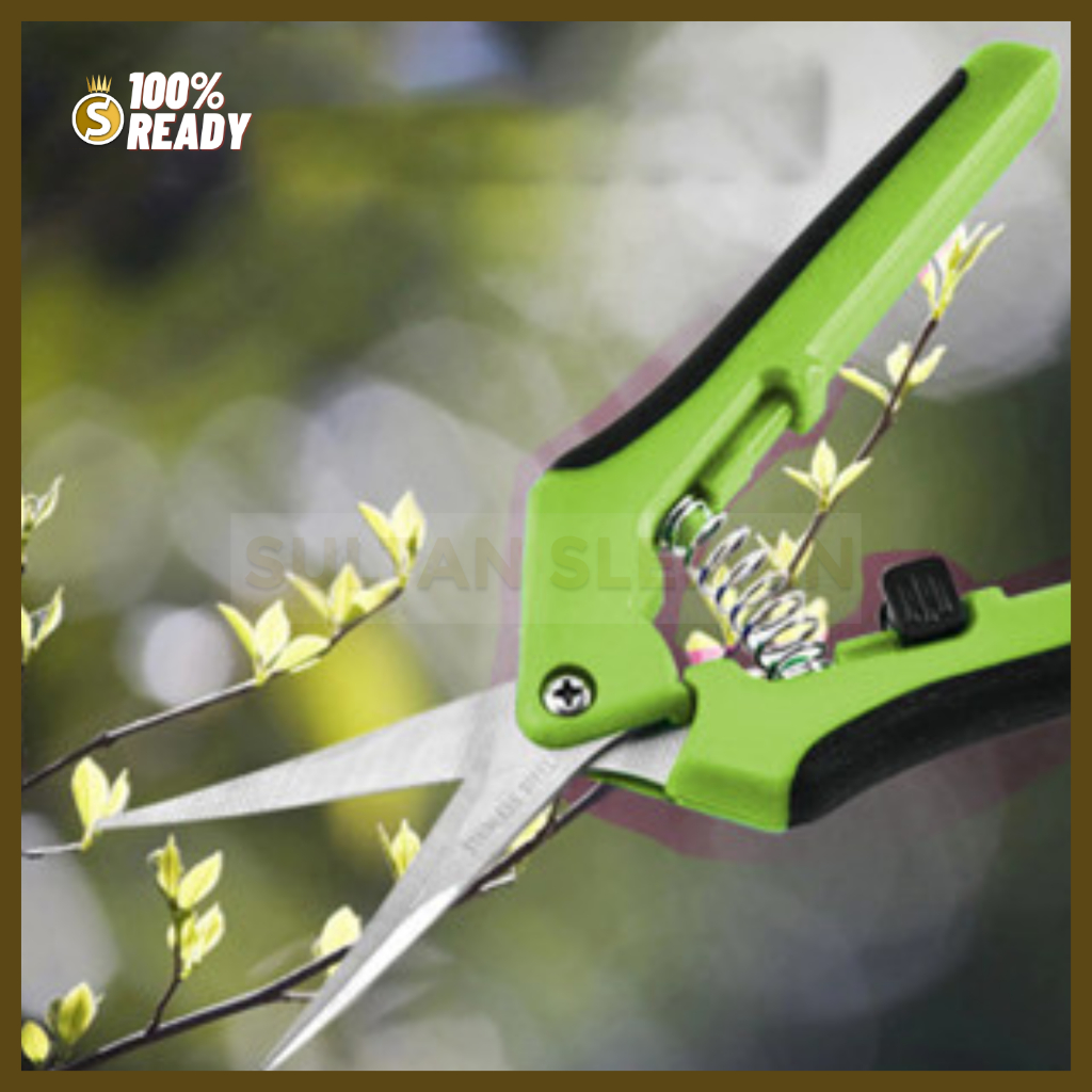 Gunting Tanaman / Gunting Dahan 6 Inch / Gunting Ranting / Gunting Dahan Ranting Bunga