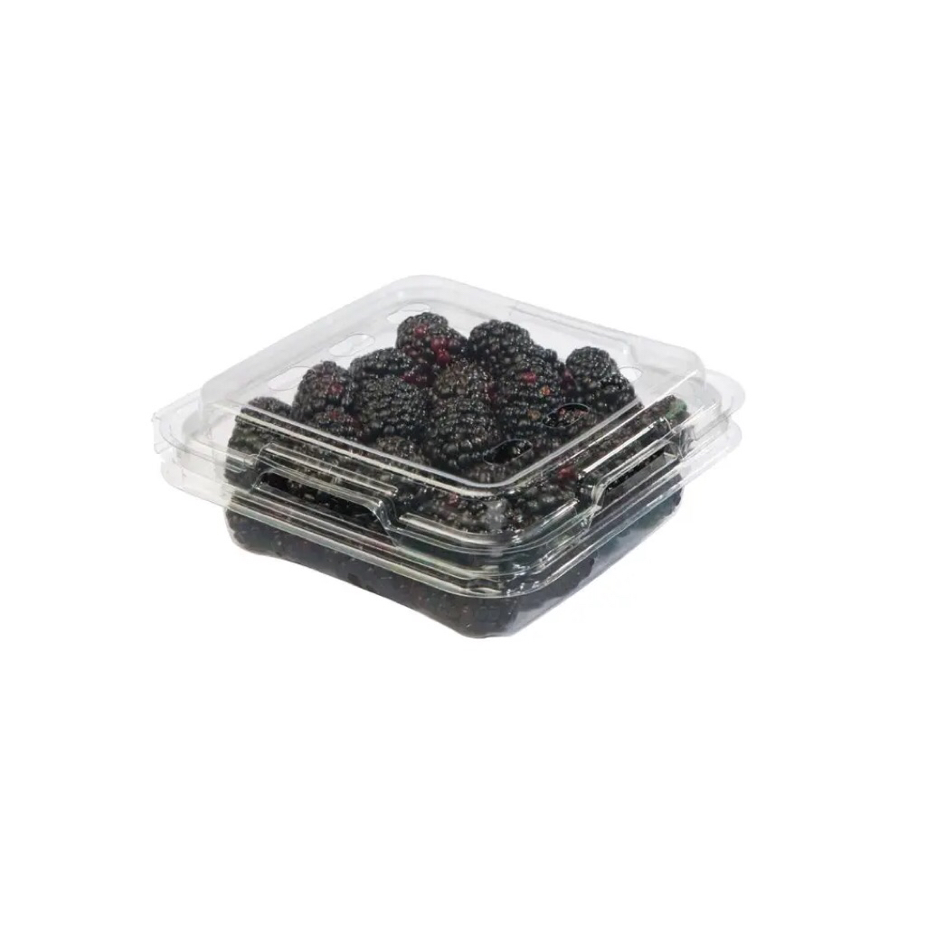 

(IQF) Blackberries Import Frozen 500 Gram - Buah Beku