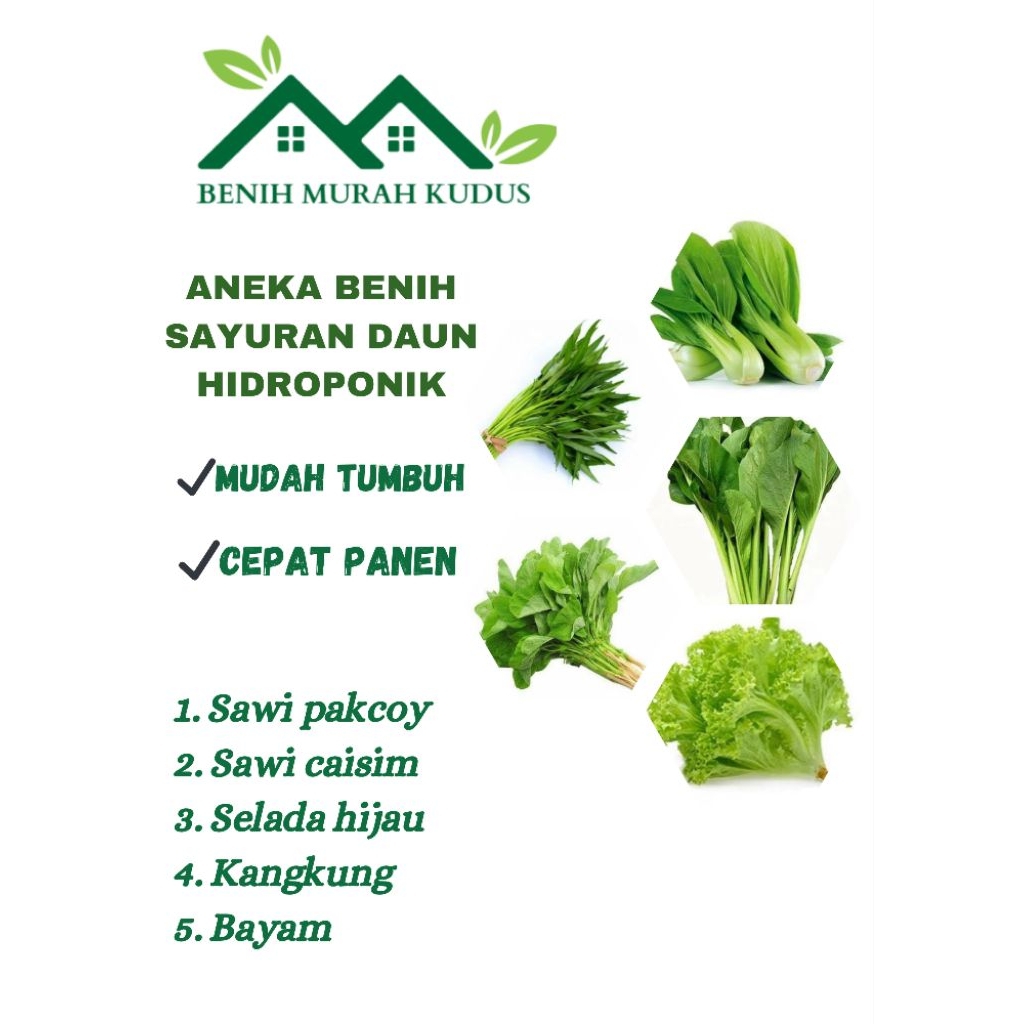 Paket Benih 5 Jenis Sayuran Hidroponik Benih Sayuran Daun