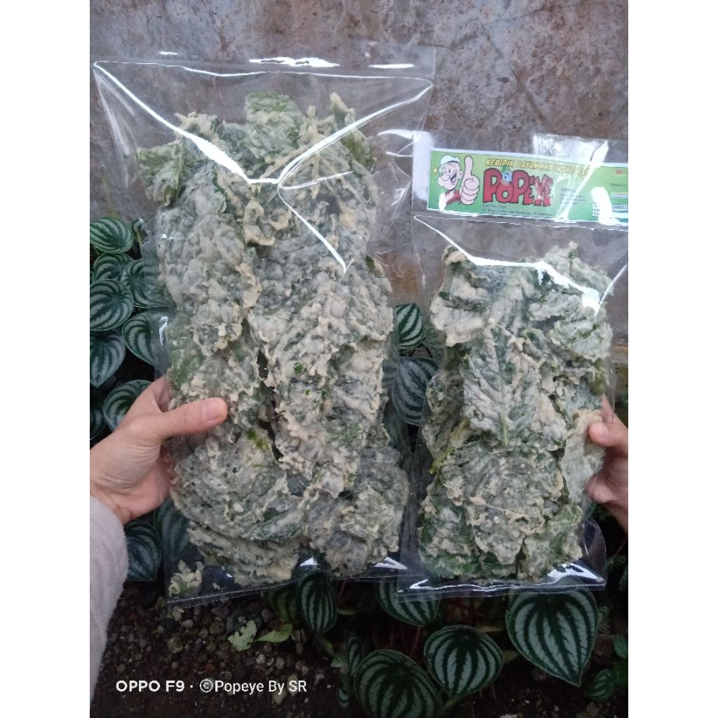 

keripik bayam Popeye