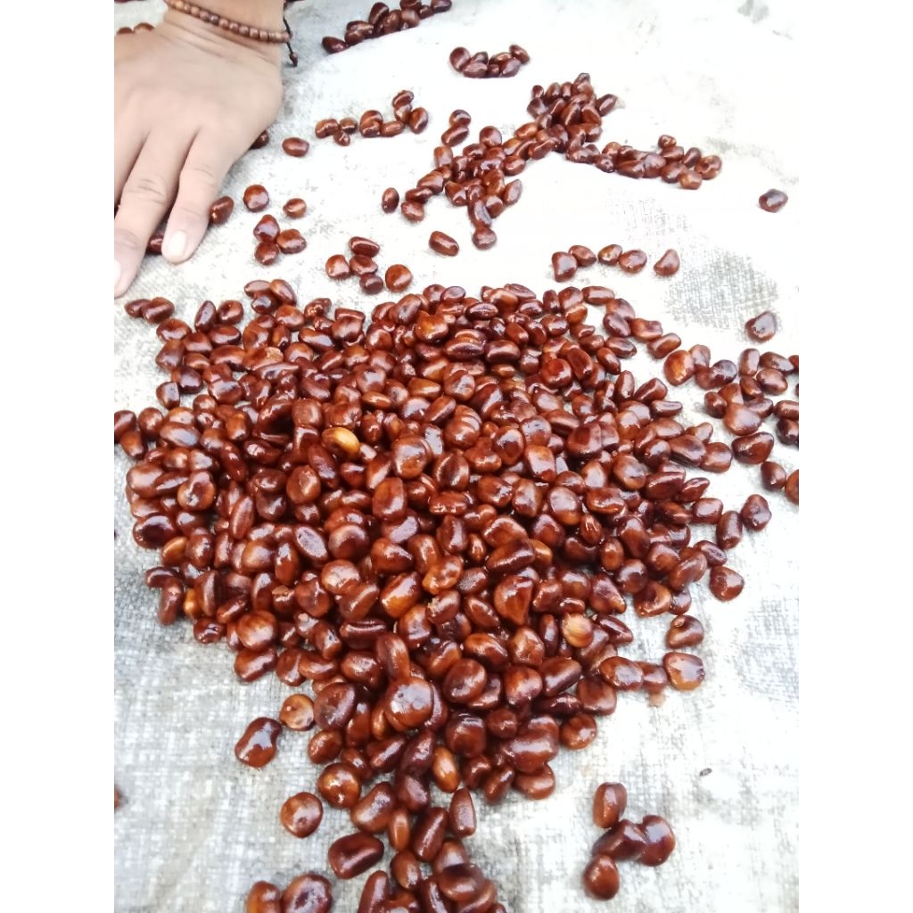 

biji asam 1 kg bersih