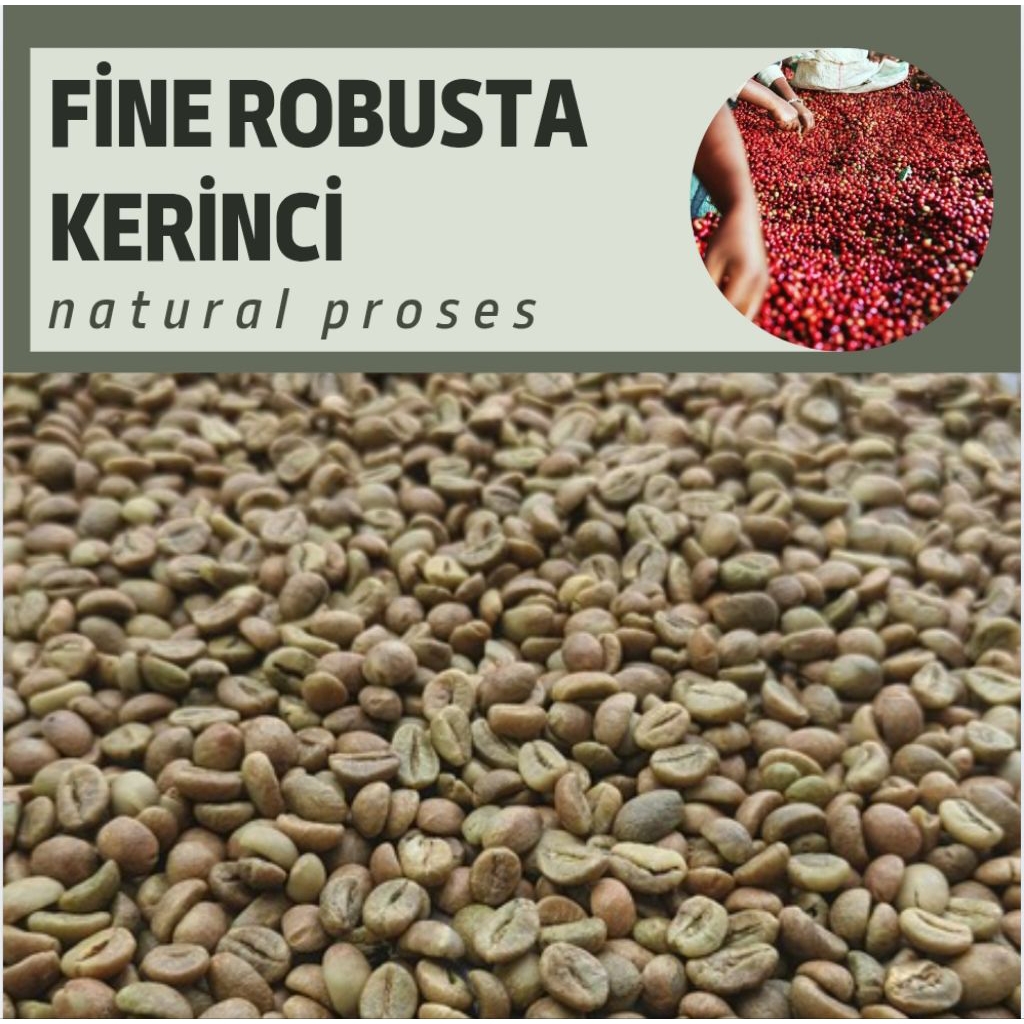 

Fine robusta kerinci kamasan 500gram | biji kopi robusta kerinci