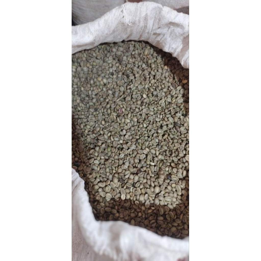 

GREN BEAN ARABICA ASALAN BIJI MENTAH PER KG