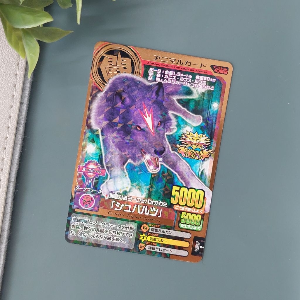 Schwarz Bronze - Animal Kaiser Jepang