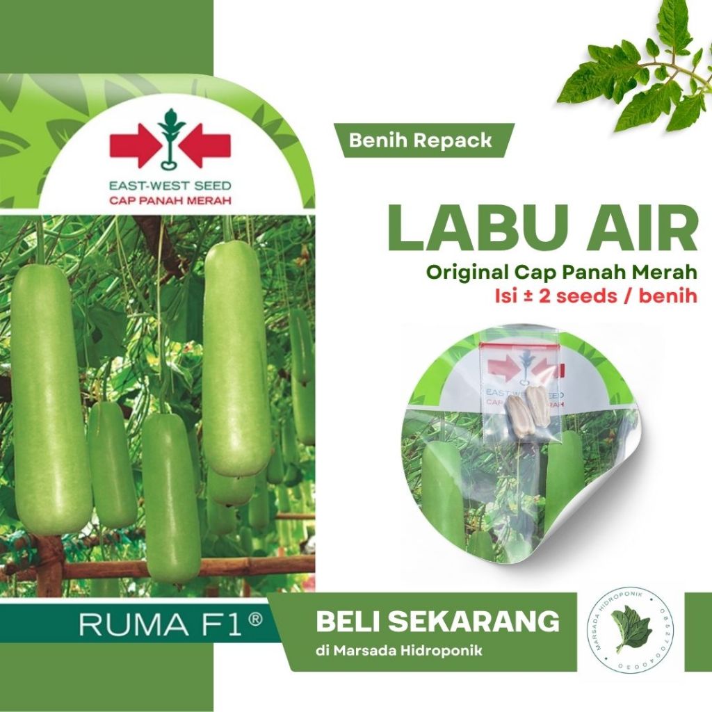 Benih Bibit Labu Air atau Labu Lonceng Ruma F1 Cap Panah Merah - Kemasan Repack