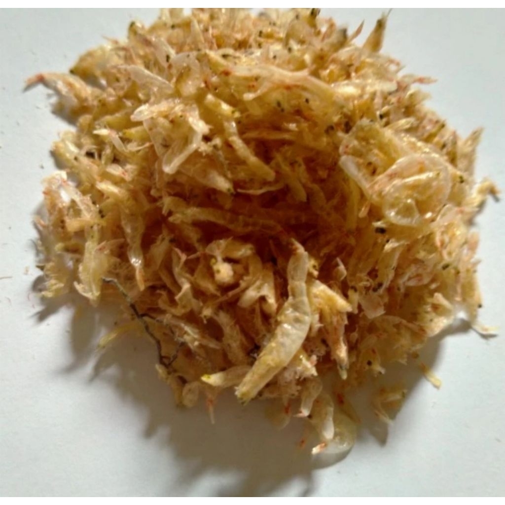 udang rebon kering tawar untuk peyek rebon