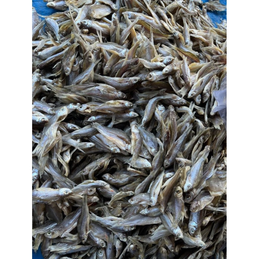 

ikan kering lambak seluang