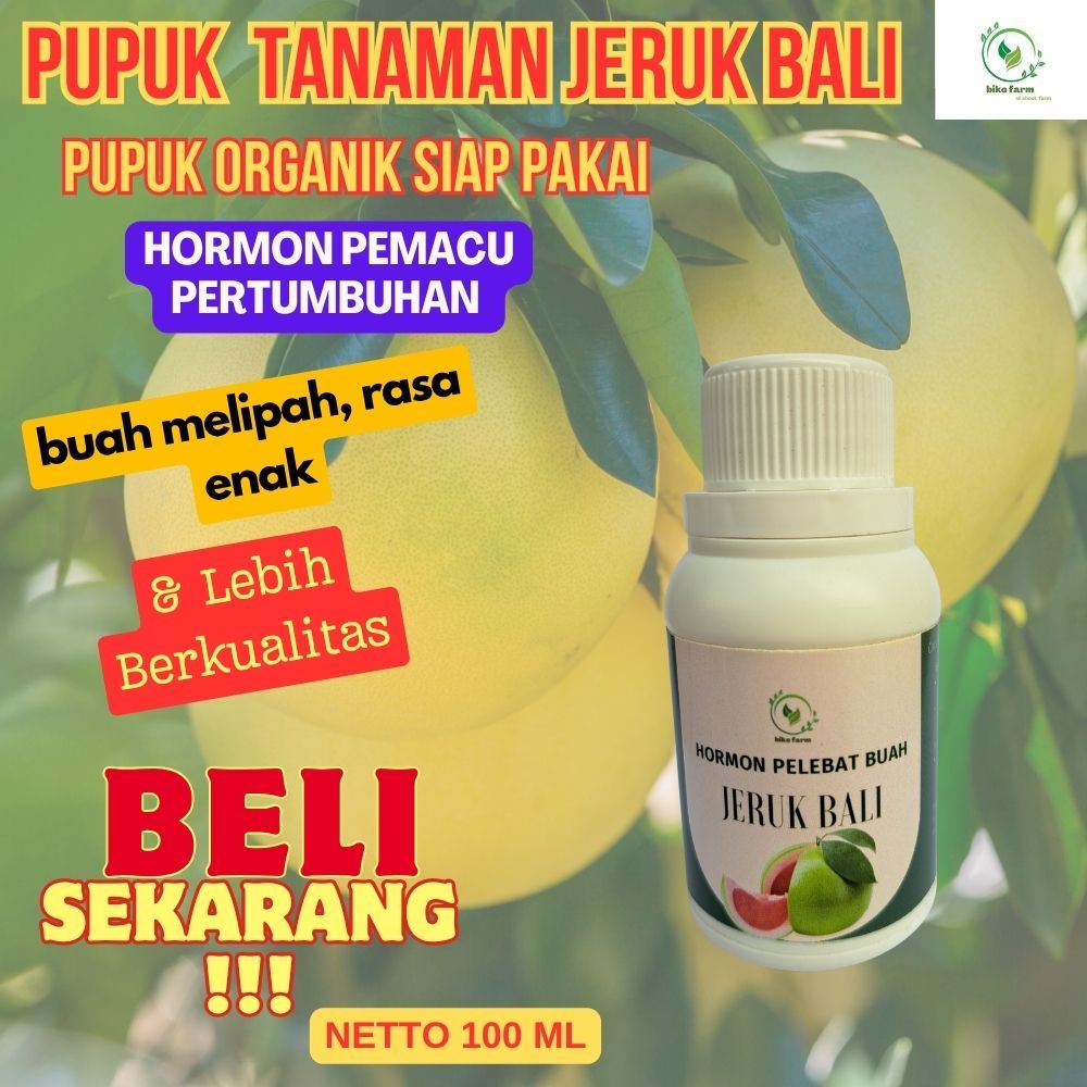 Pupuk Organik Cair Pelebat Buah Jeruk Bali. Pupuk Organik Cair Pembesar Buah Jeruk Bali