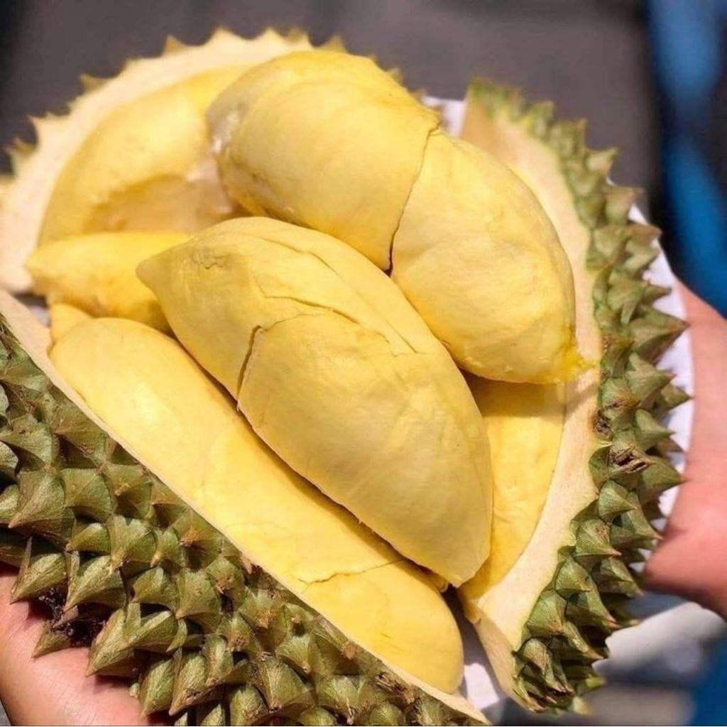 

Durian Montong Palu Sulawesi 500 Gram- Durian Montong Kupas Lezat Dan Legit