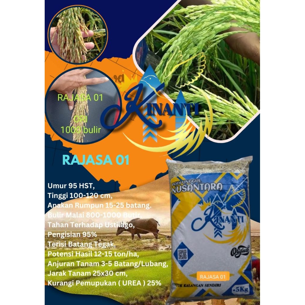 BENIH PADI RAJASA 01 Kemasan 5 KG