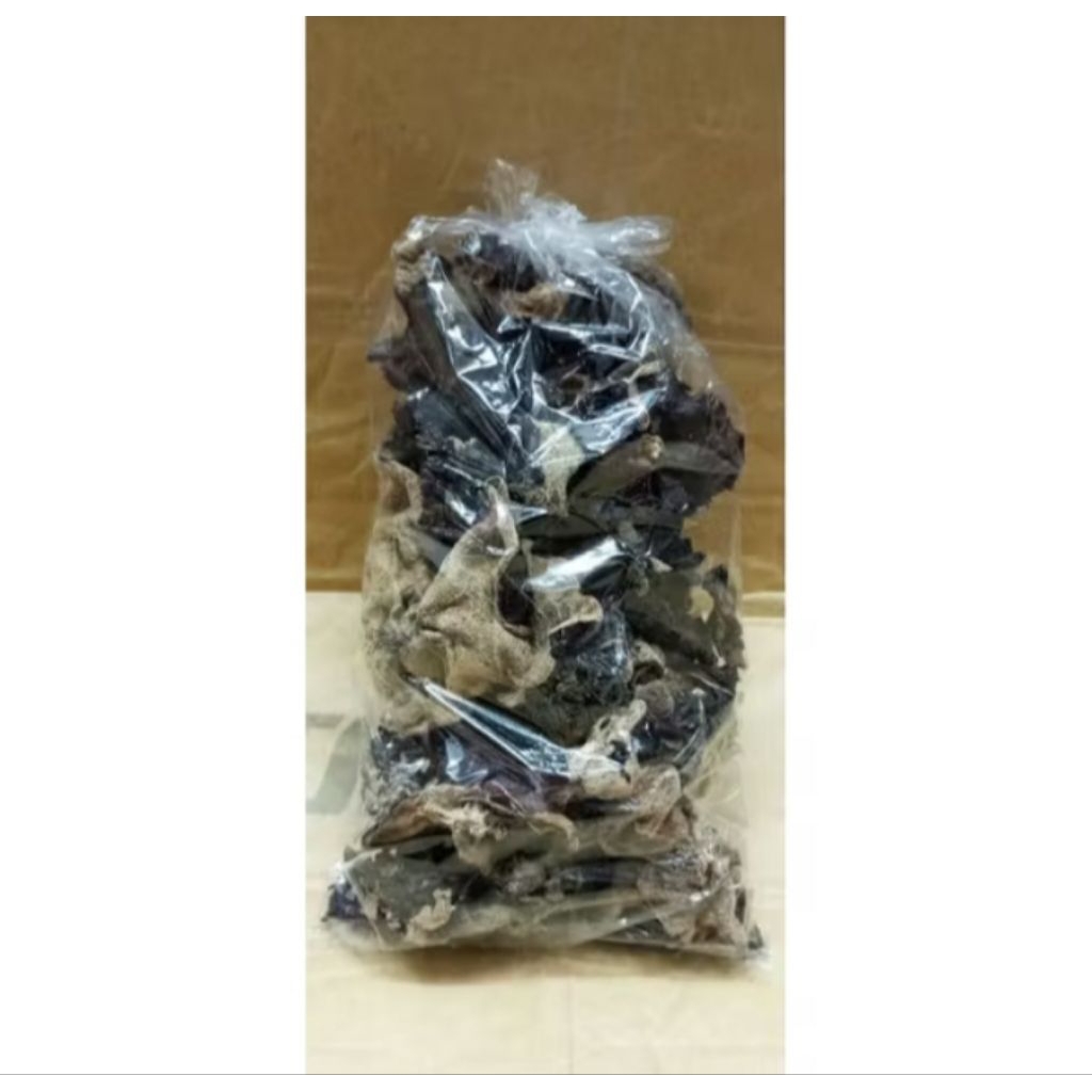 

jamur kuping biasa 1 one/ jamur masak 1one